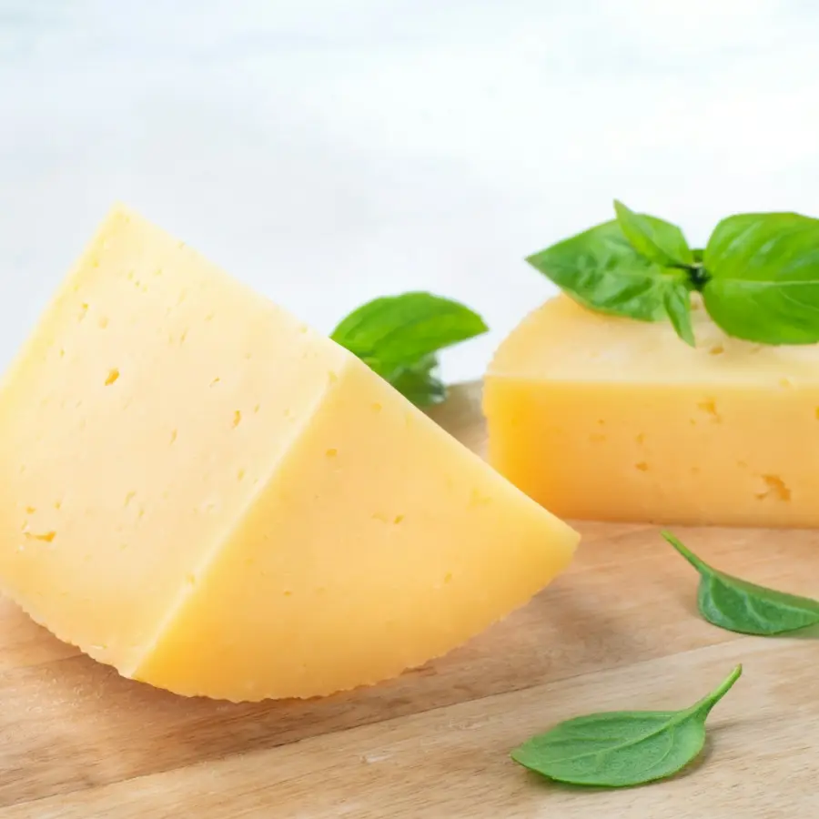 Punt extra belegen kaas met een blaadje basilicum erop