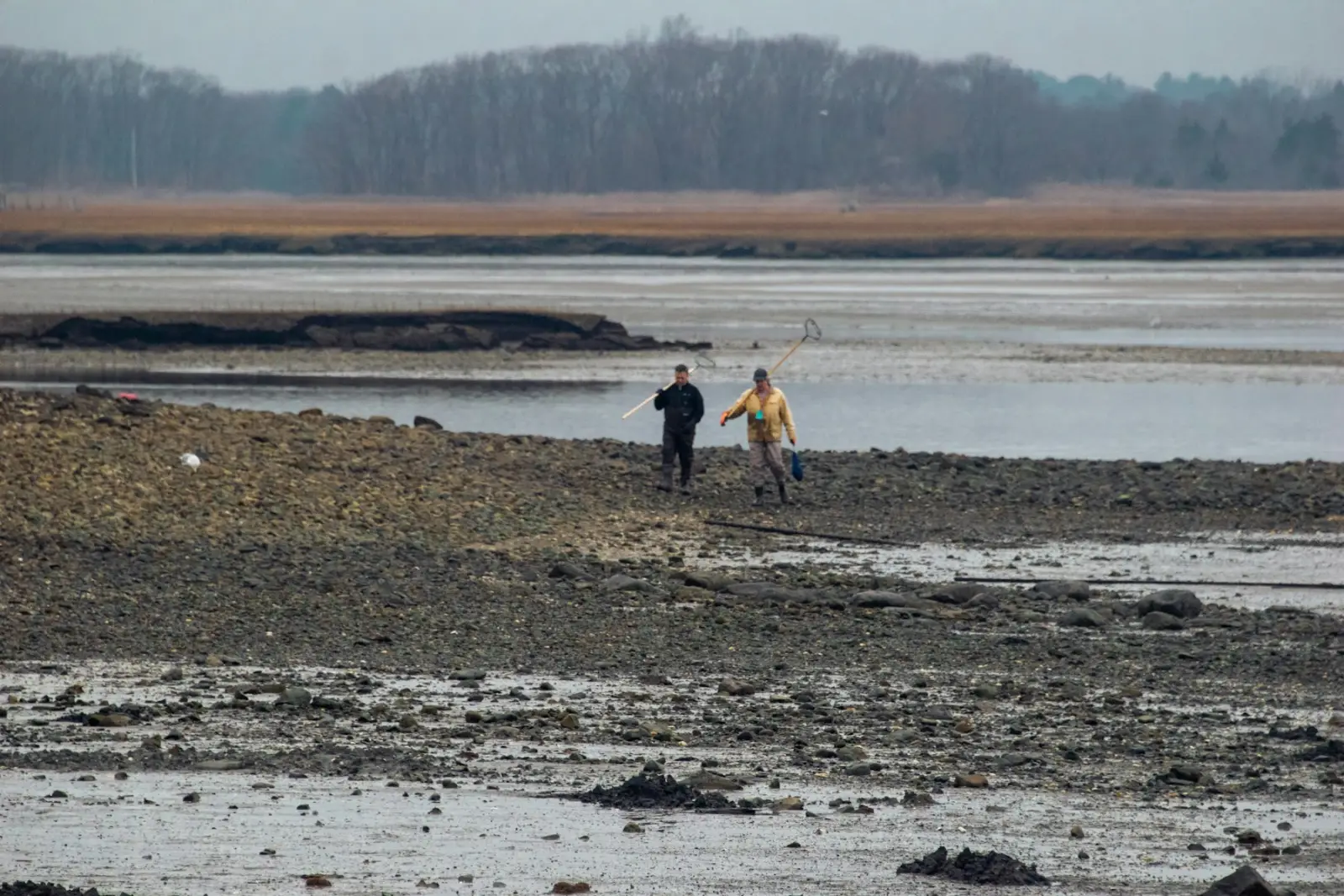 Mensen lopen over het drooggevallen wad